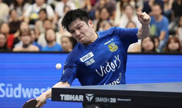 连输三场到连胜逆转！樊振东德甲破质疑，小城因他门票难买旅游爆火