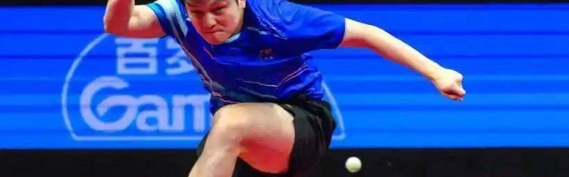 25欧站票炒到180欧！28岁樊振东让18万德国小城沸腾，德甲60周年首页把他放进传奇C位